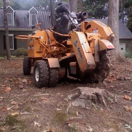 Paytes stump grinding service