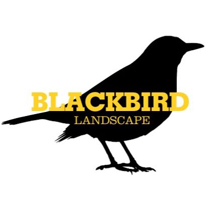 Blackbird Landscape
