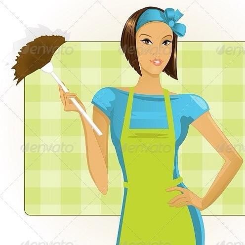 Maid to Shine Cleaning Service