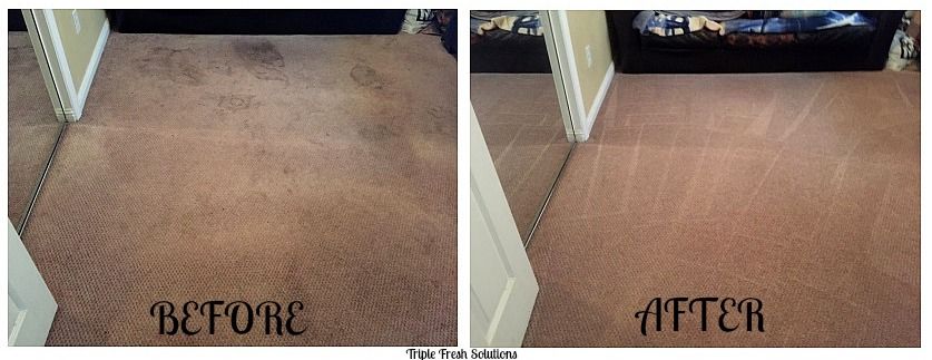 Carpet Cleaning and Spotting