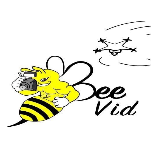 Bee Vid LLC