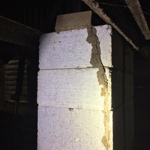 Subterranean termite tube entering under home!