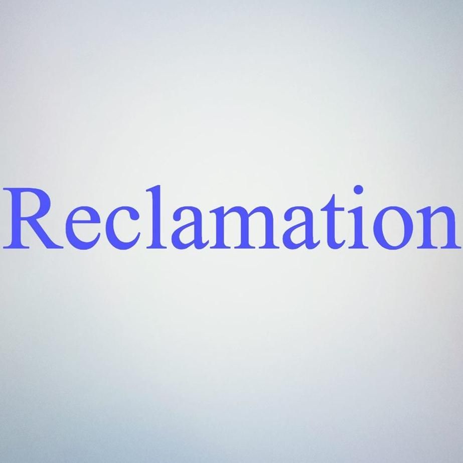Reclamation LLC: Professional Organizing Business