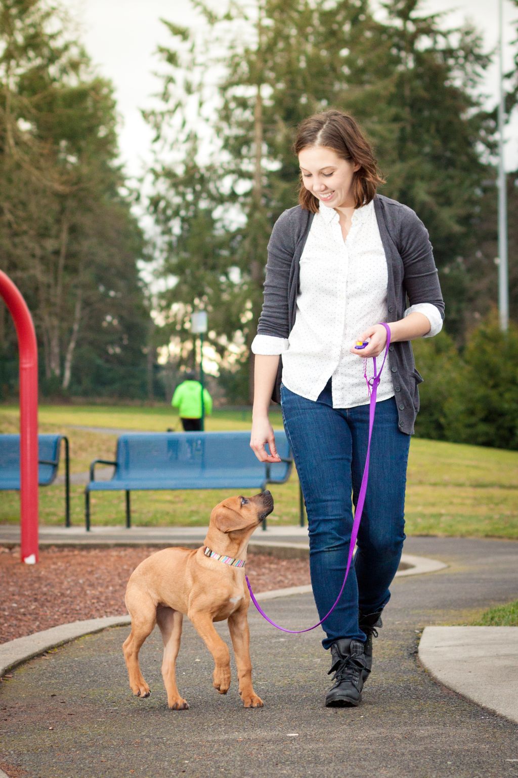 Loose-leash walking and distraction training with 