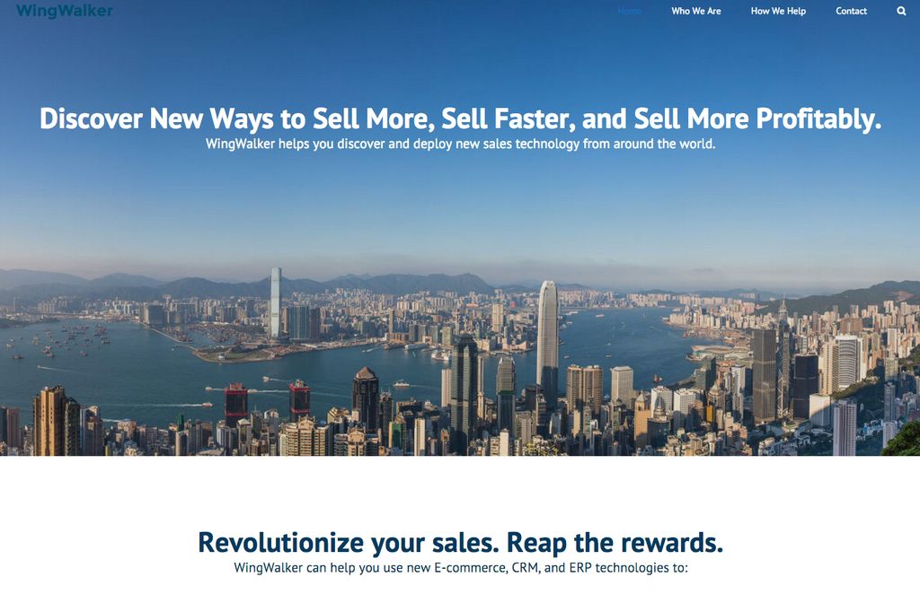 WingWalker Consulting. Developed the company name,