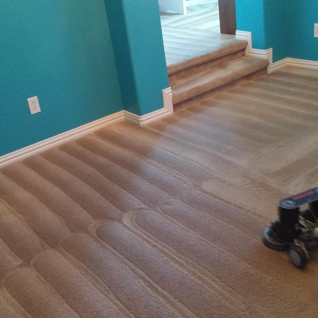 Freeney's carpet & janitorial services