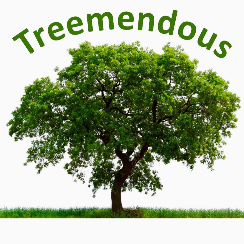 Treemendous Tree Trimming and Removal