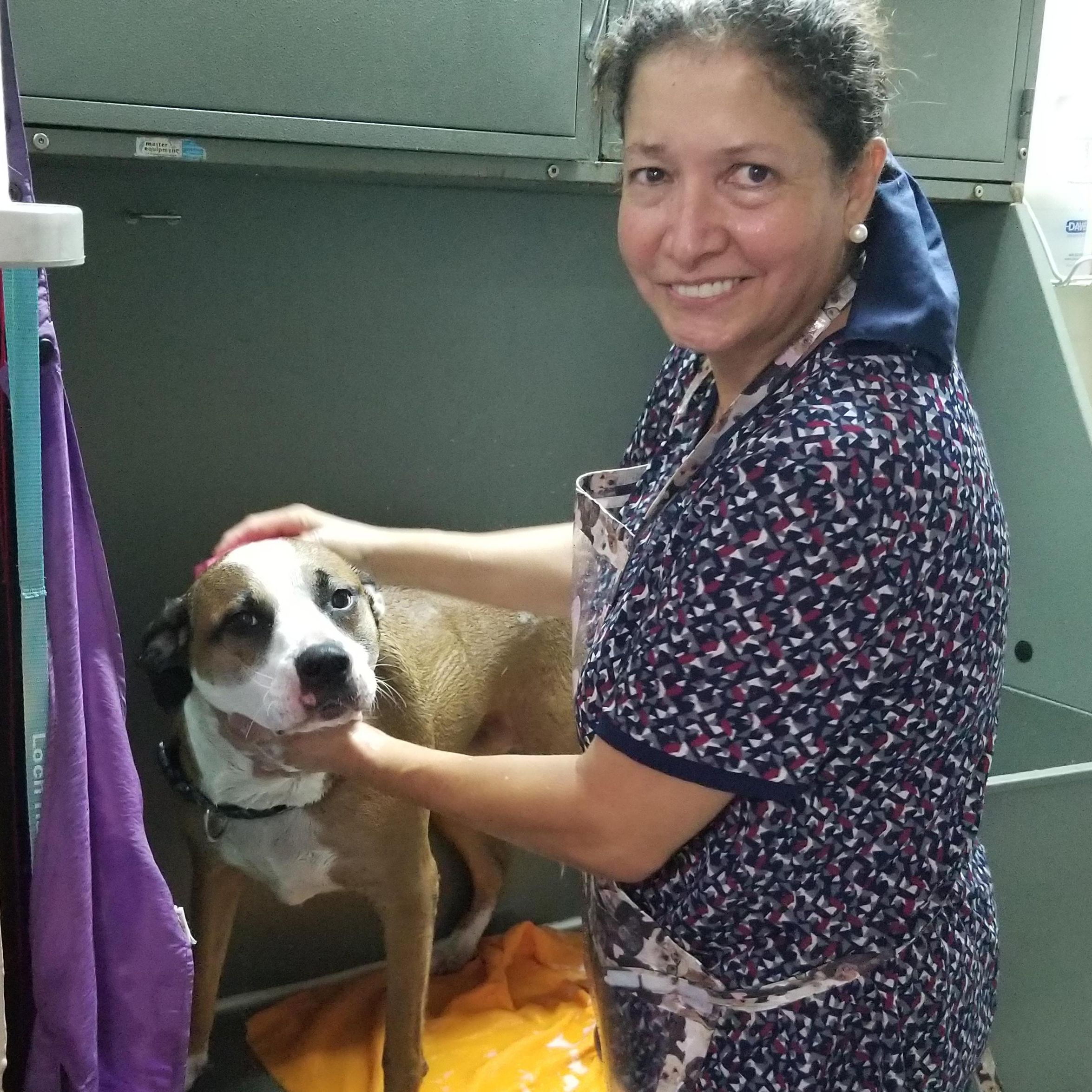 Ana's Dog Spa /Dog Grooming On Conway Orlando, FL