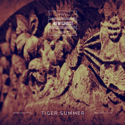 Album cover for folk rock band Tiger Summer.