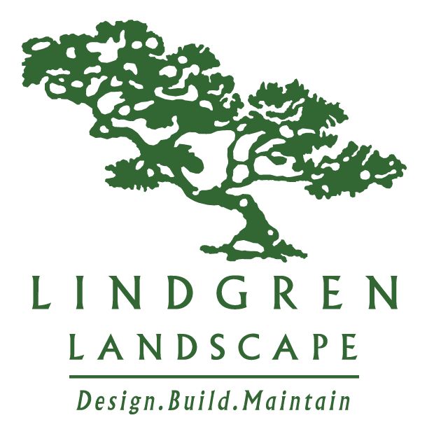Lindgren Landscape