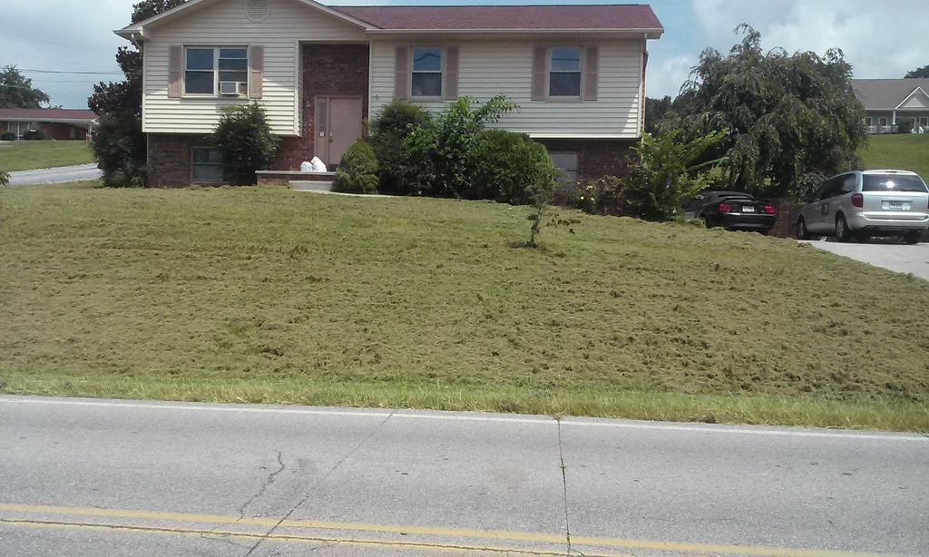 This is after a 2nd mowing on the same day. July 3