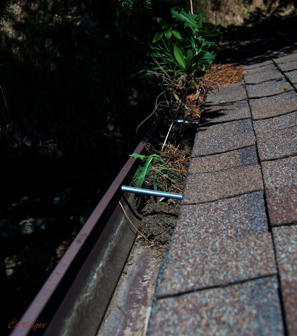 A gutter specialist can save a lot of future issue
