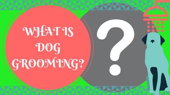 Blog Graphic - Title