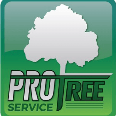 Avatar for Pro Tree Service