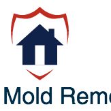 Pooler Mold Removal