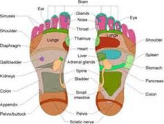 do you know how many nerve endings are in the foot