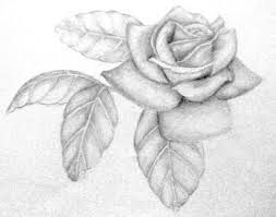Pencil drawing.