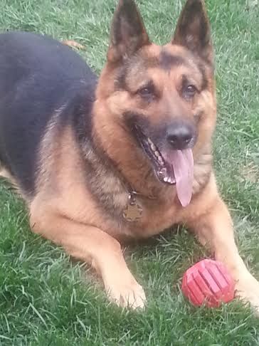 Retired Police Officer