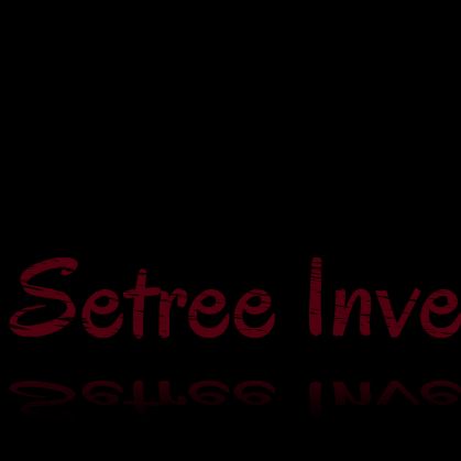 Setree Investigations, LLC