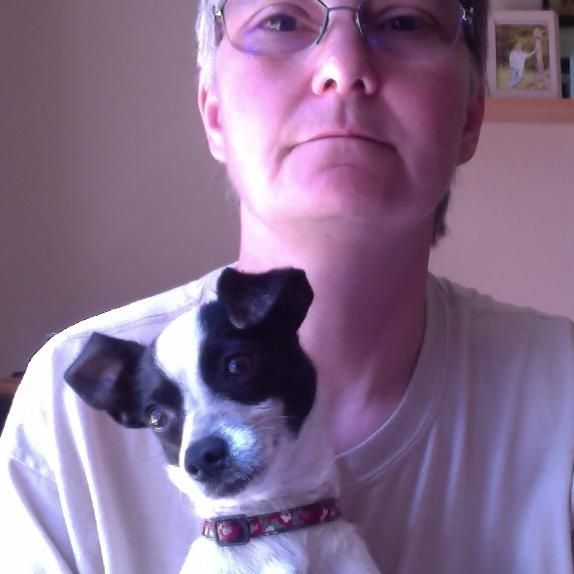 Work'N Pawz Dog Training