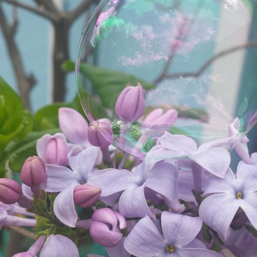 Flowers and bubbles, adorably beautiful.
