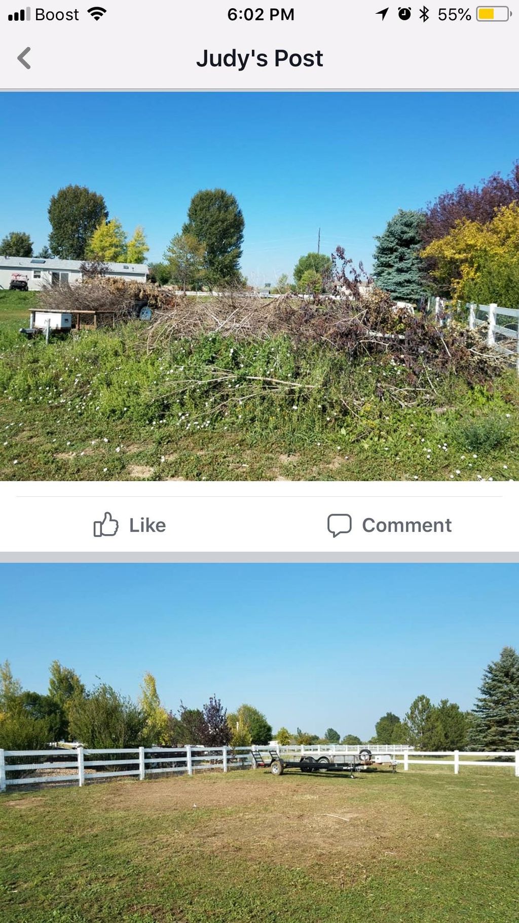 Projects and media