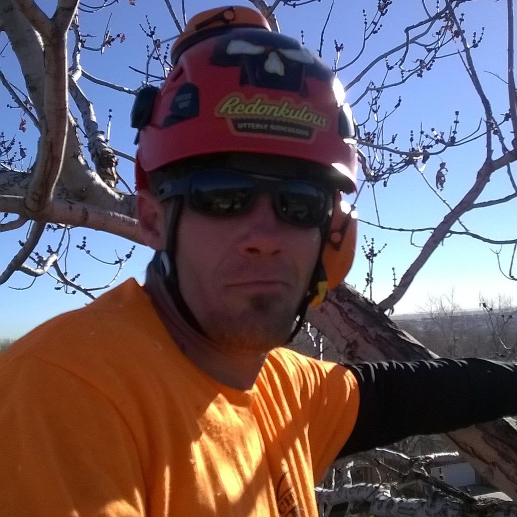 Woods Tree Service