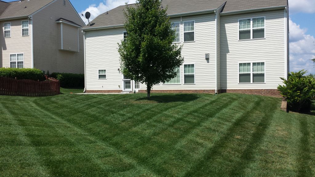 one of my good customers back yard