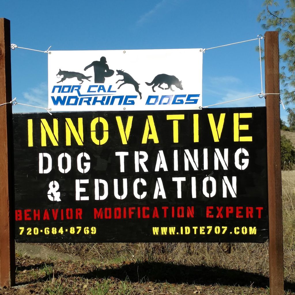 Innovative Dog Training & Education
