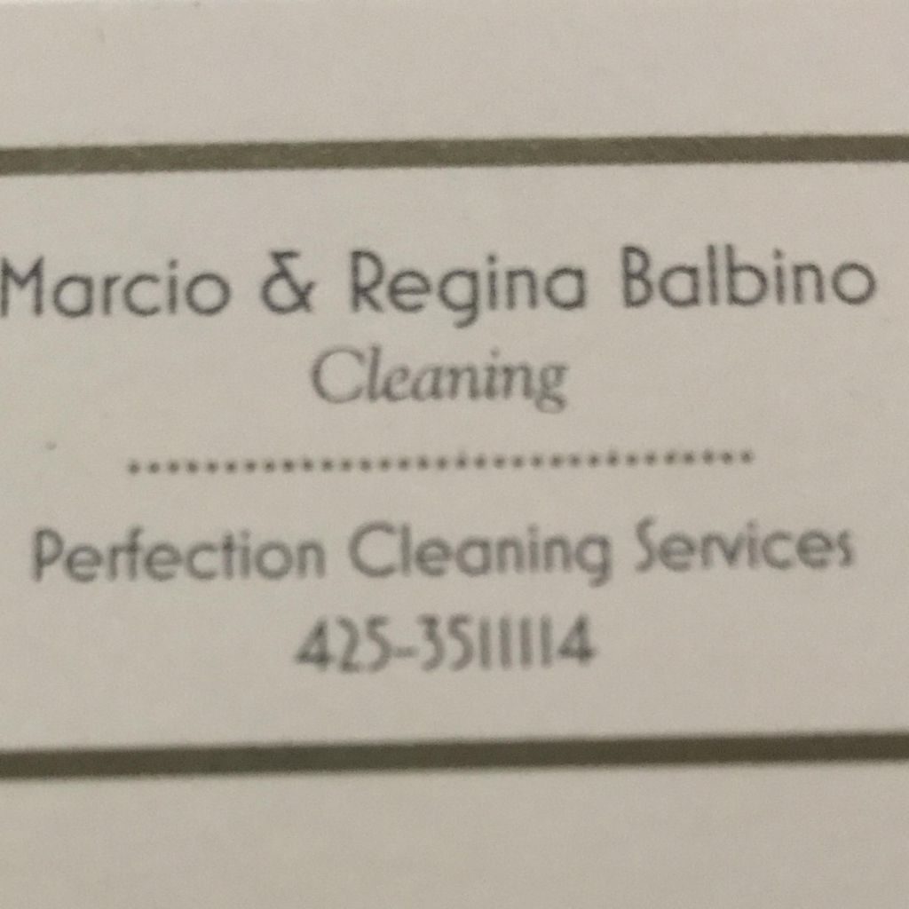 Perfection cleaning services