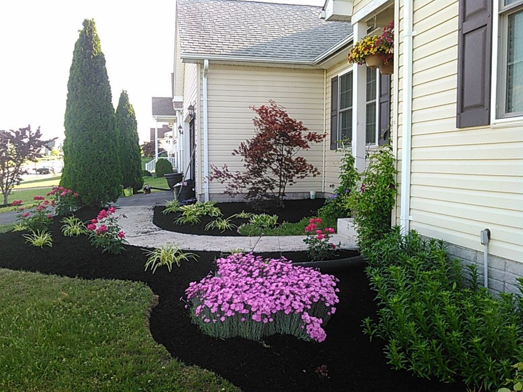 step 4 seed the much