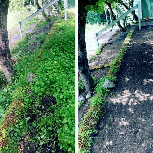 Before and after flowerbed cleanup! ( green left i