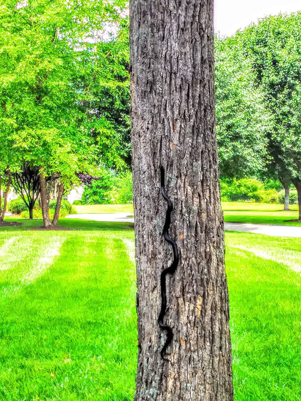 Masters Touch remodeling and Honey do