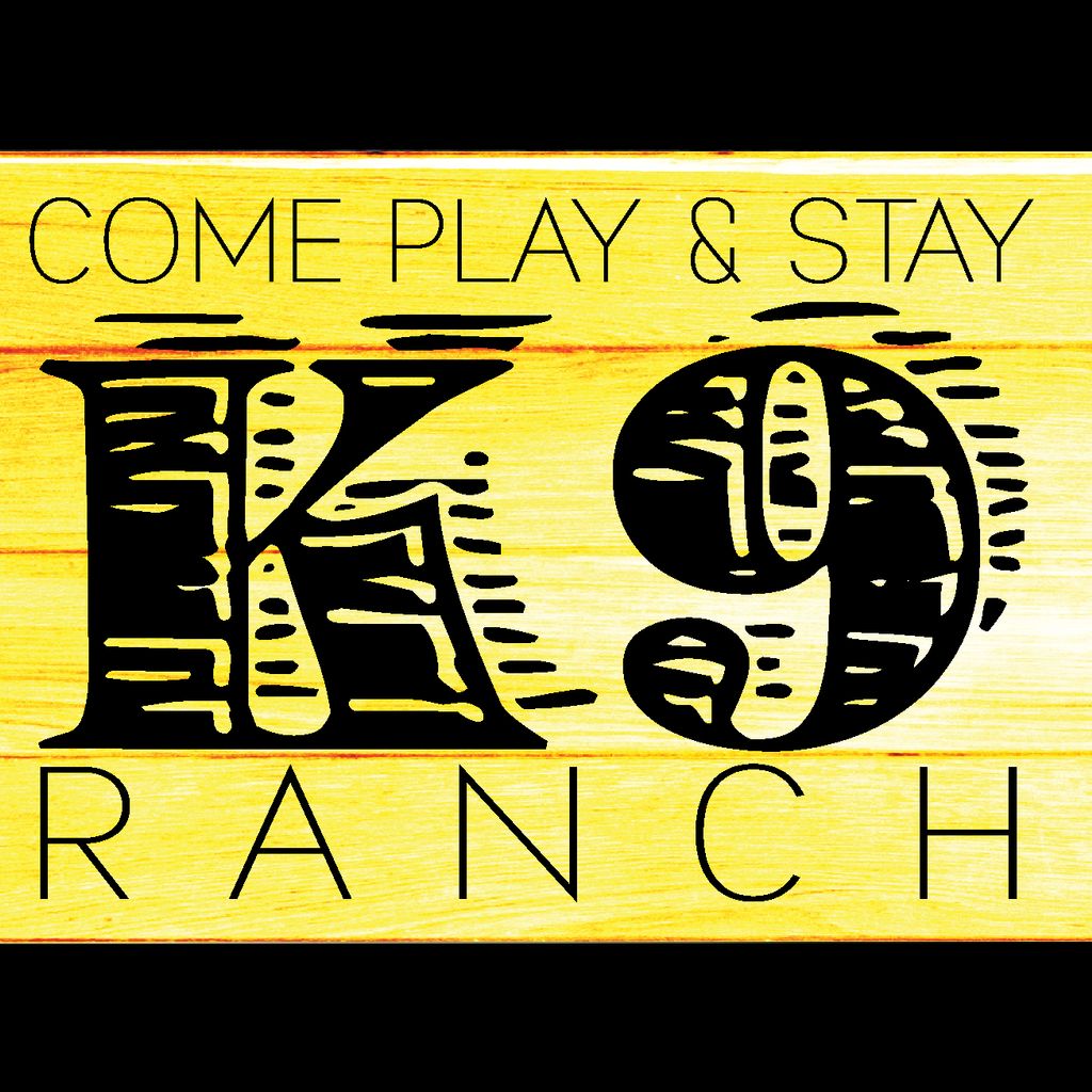 Come Play & Stay K9 Ranch