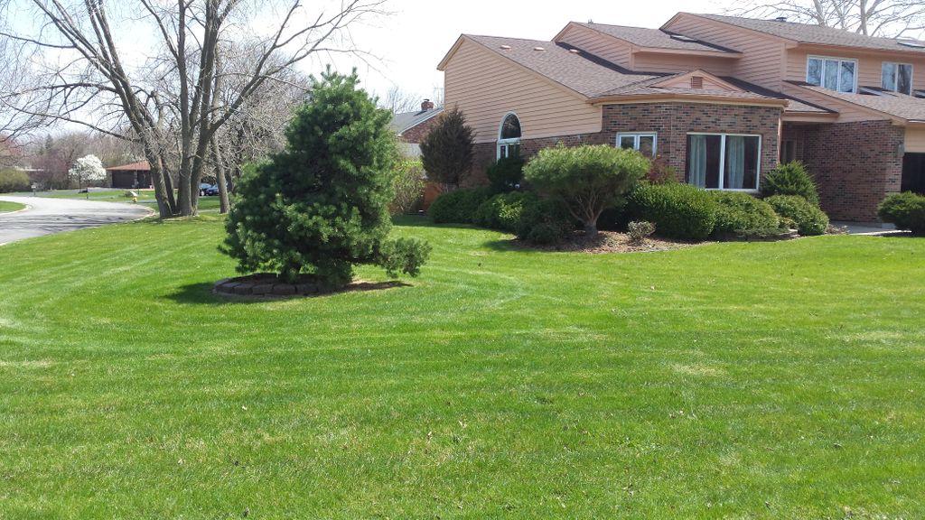 Lawn Service in Olimpia Fields