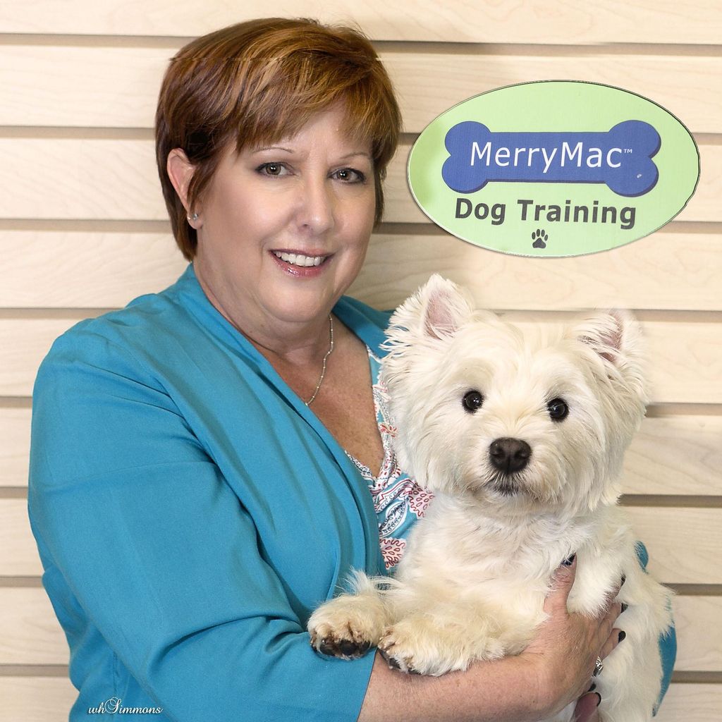 MerryMac Dog Training & Nutrition Center