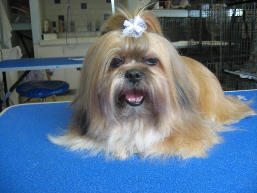 bella after