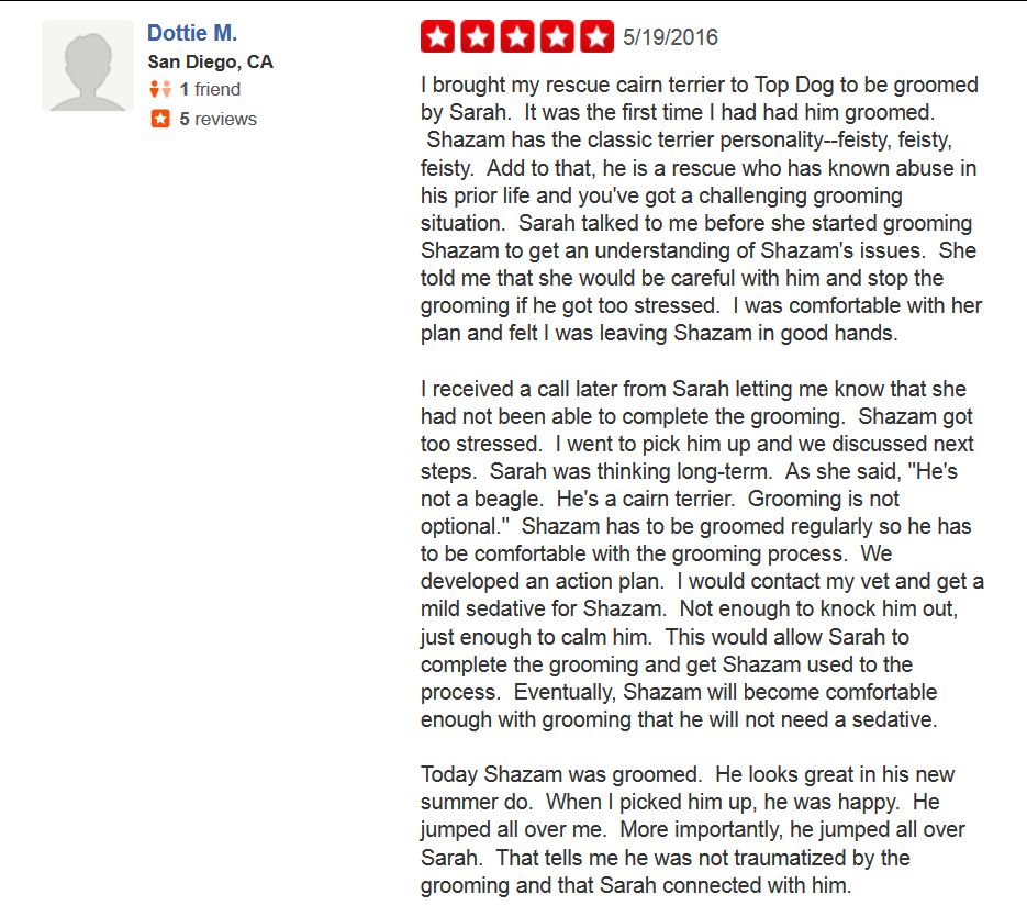 The Glitter Groomer, Sarah Lester, Review... VIEW 