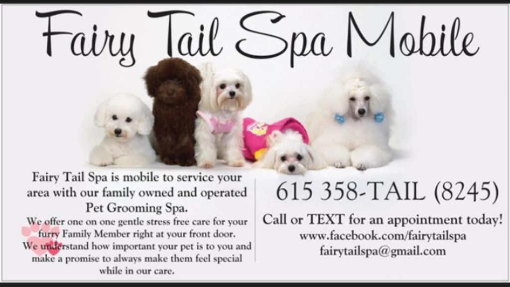 Fairy Tail Spa Mobile