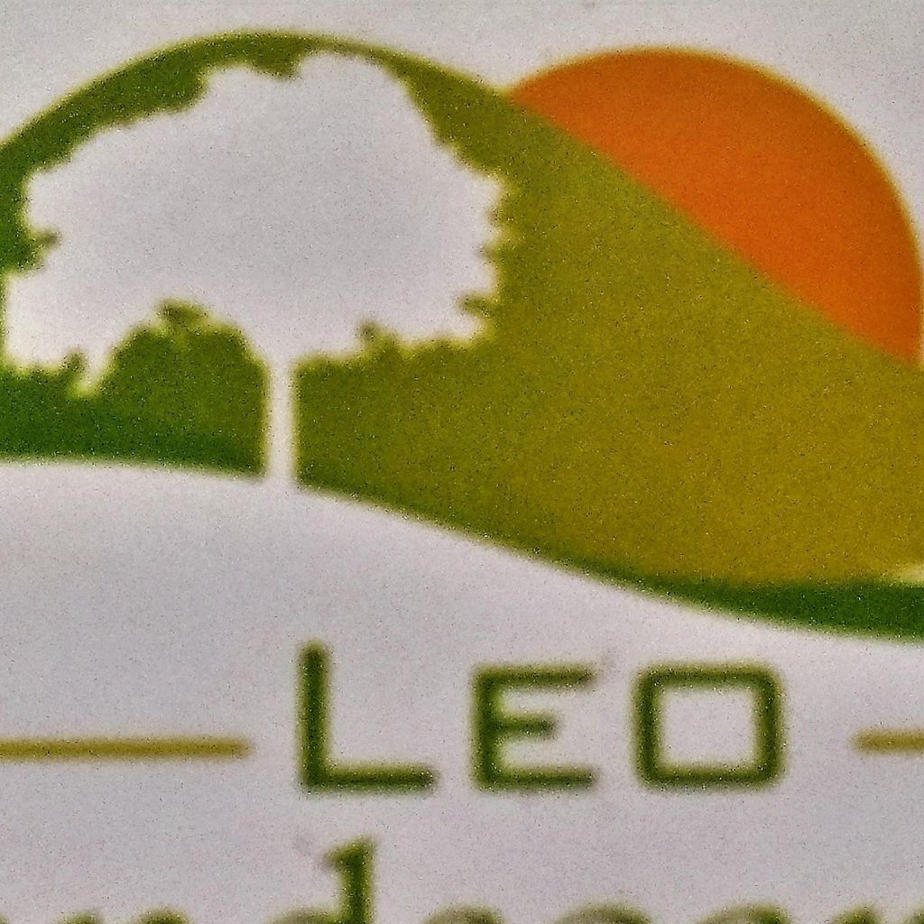 Leo Landscape LLC