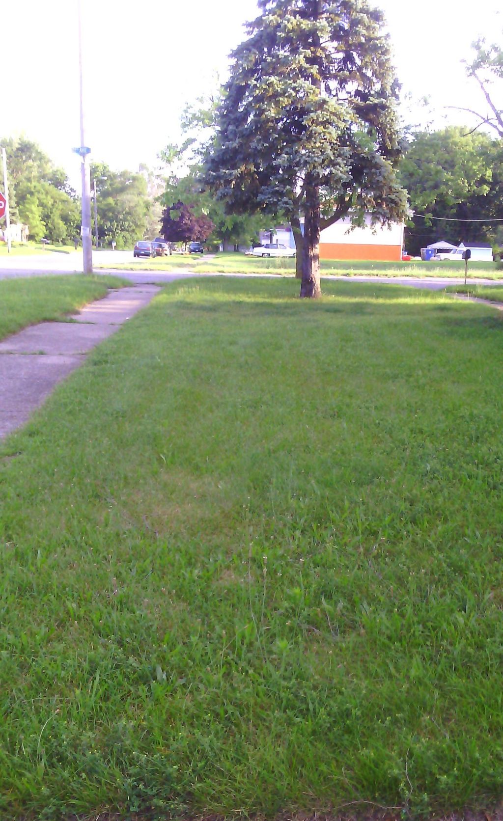 Side of yard Before (Property # 2120)