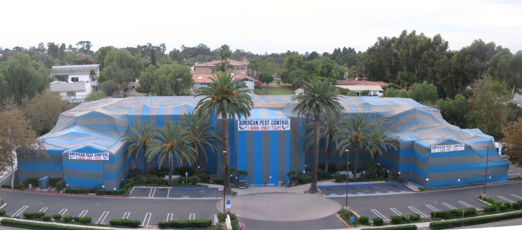 Fumigation on a Medical Office in Bonita, CA.  
No