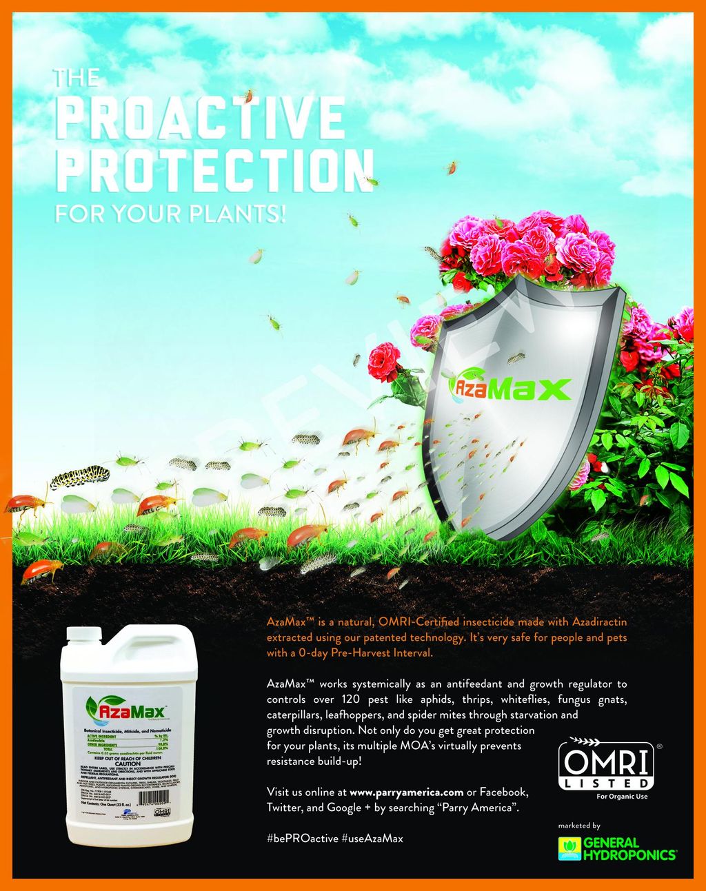 National ad design we created for a Azamax