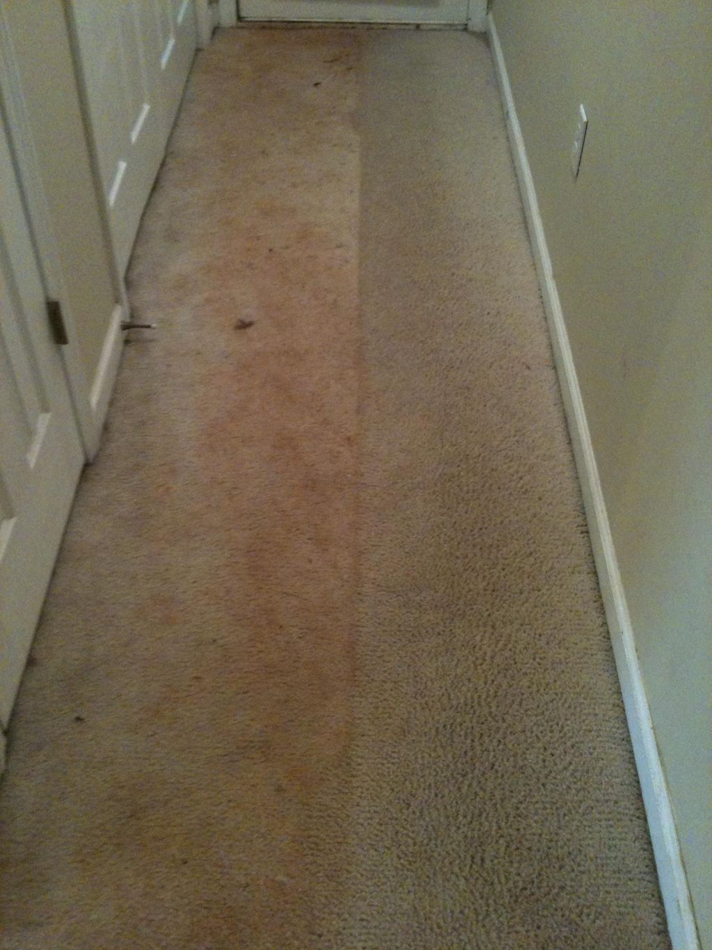 Preserve Package Carpet Restoration 