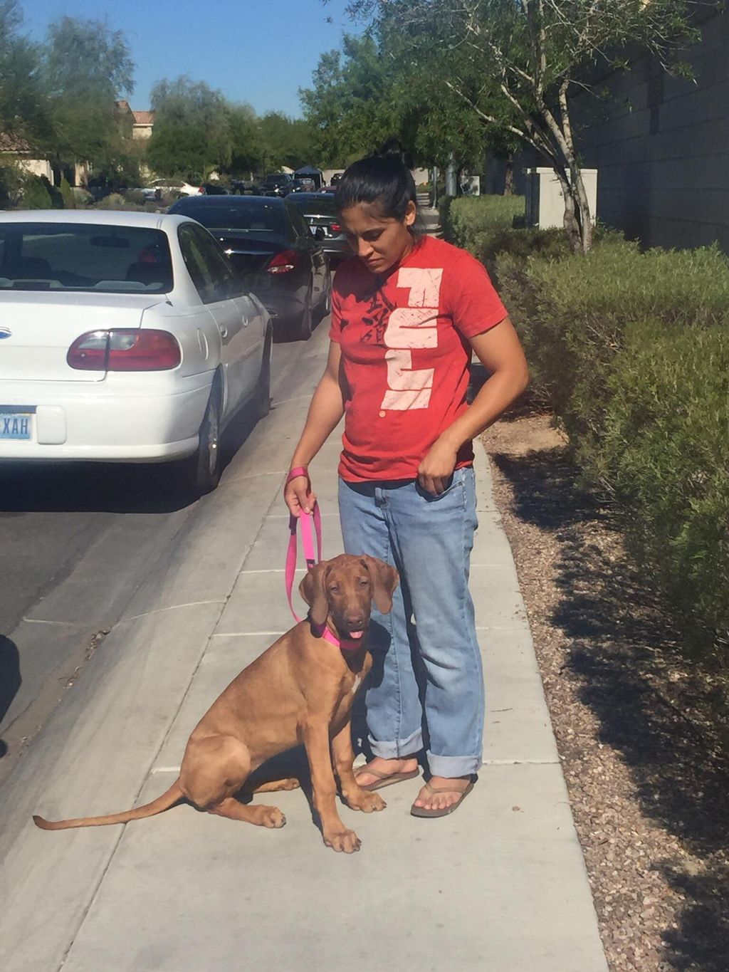 Nala and her Pack Leader