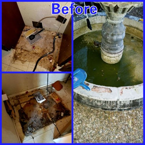 We can clean under your appliances and furniture! 