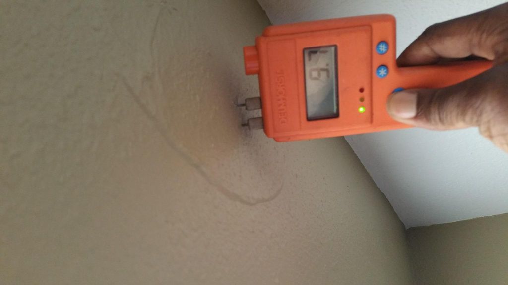 Mold testing