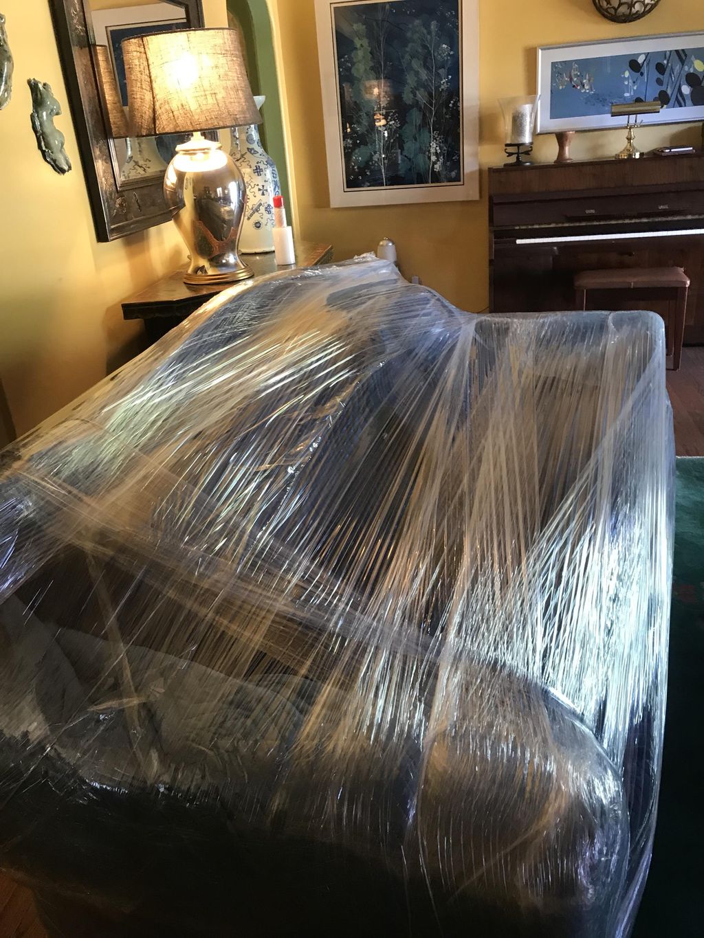 THATS ONE OF THE WAYS WE SHRIMK WRAP THE SOFAS.