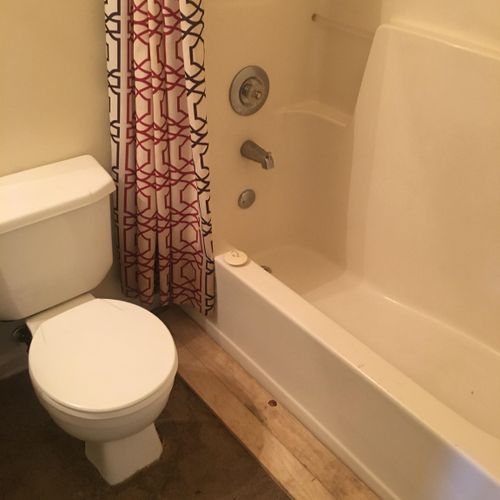 Cleaning bathtub and toilet 