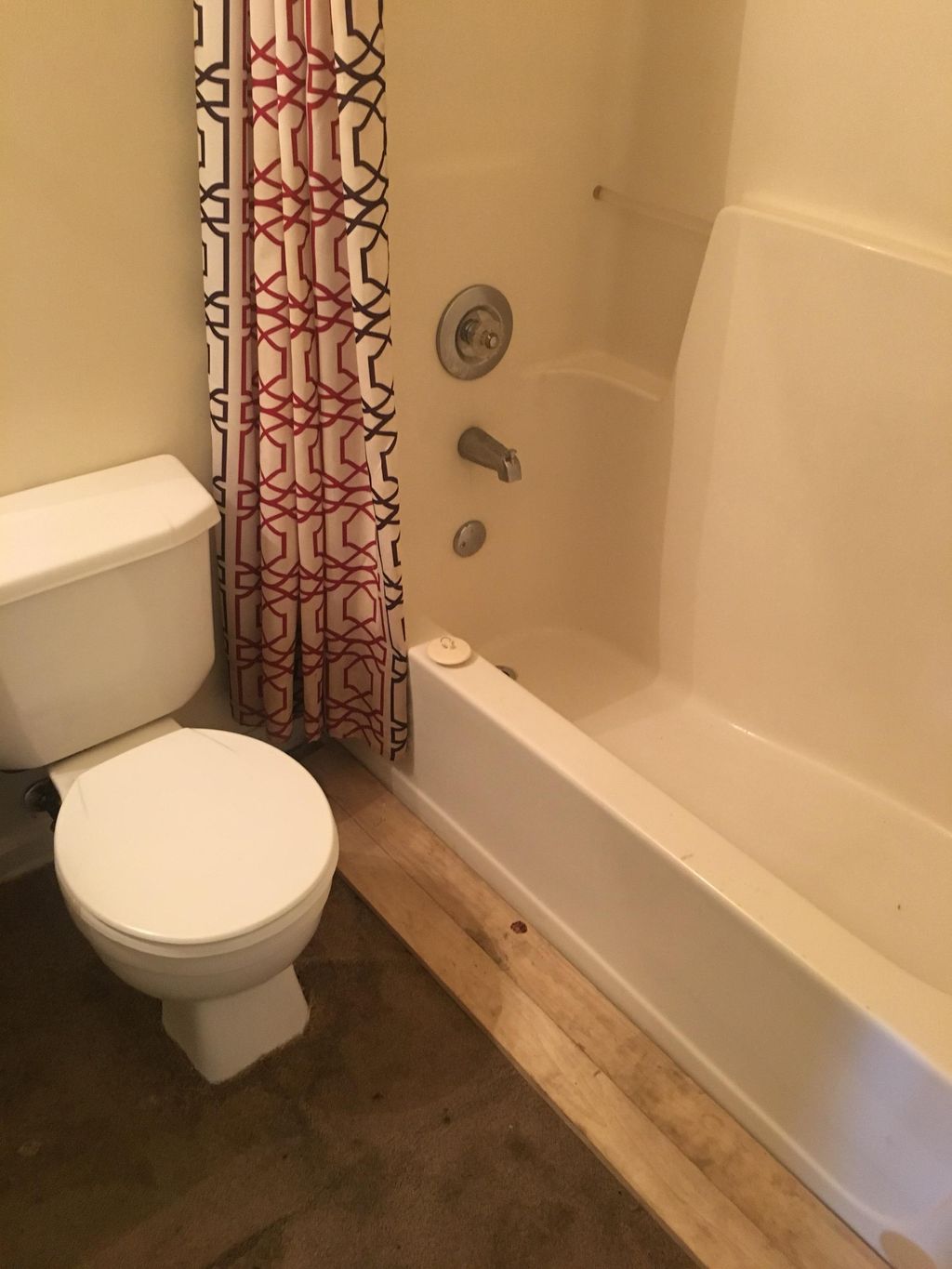 Cleaning bathtub and toilet 
